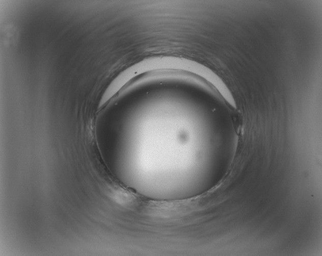 X0000062140045200512231517