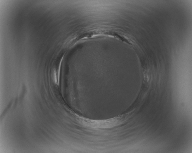 X0000062140046200512231517