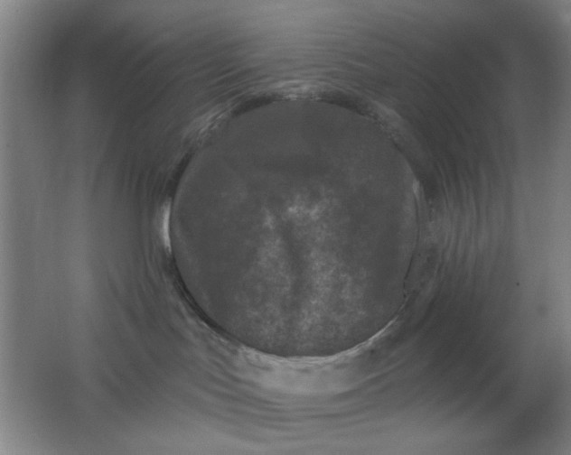 X0000062140047200512231517