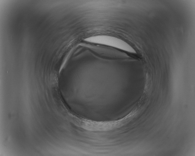 X0000062140048200512231517