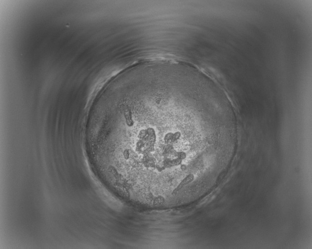 X0000062140049200512231516