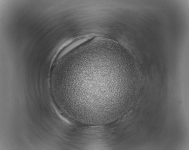 X0000062140050200512231516