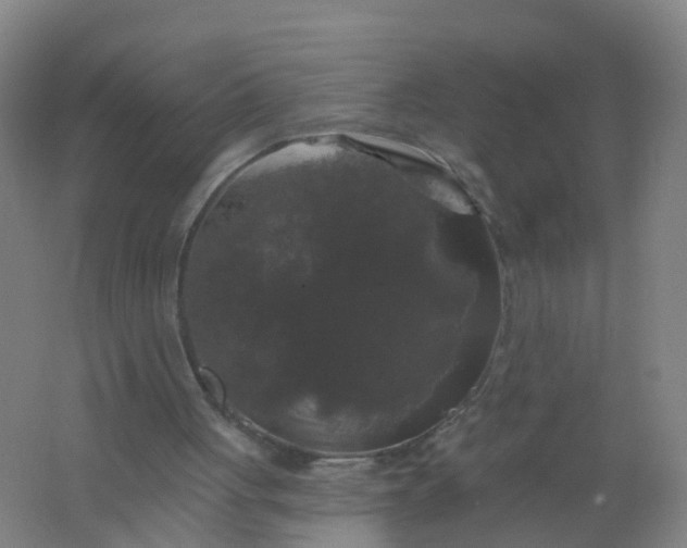 X0000062140051200512231516