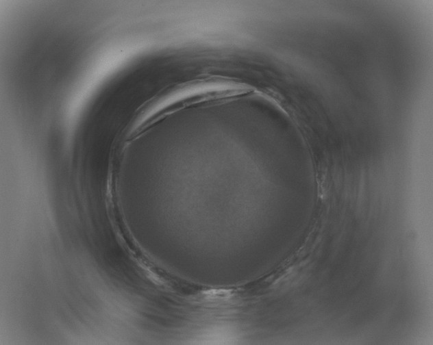 X0000062140052200512231516