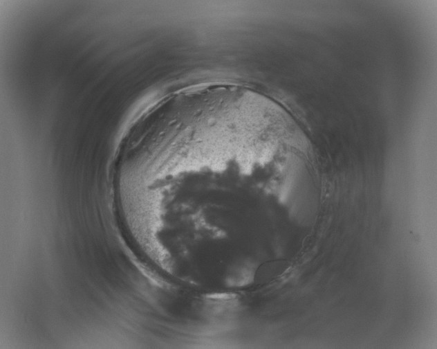 X0000062140053200512231516