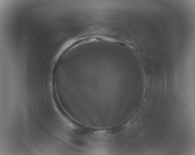 X0000062140054200512231516