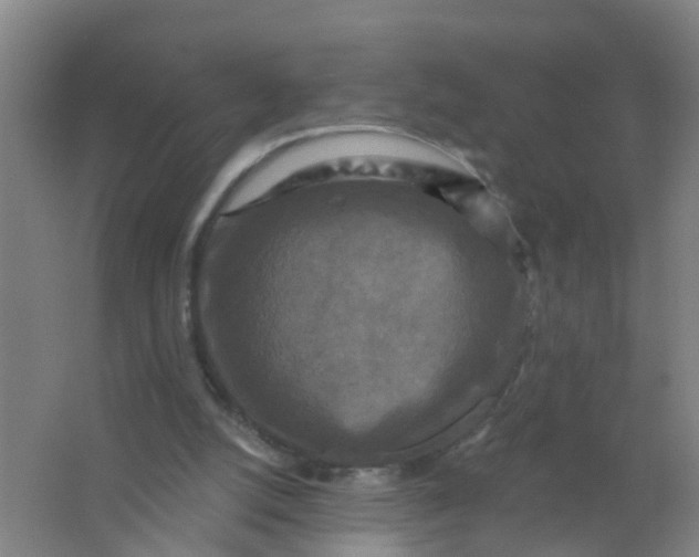 X0000062140056200512231516