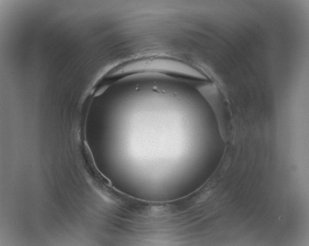 X0000062140060200512231516