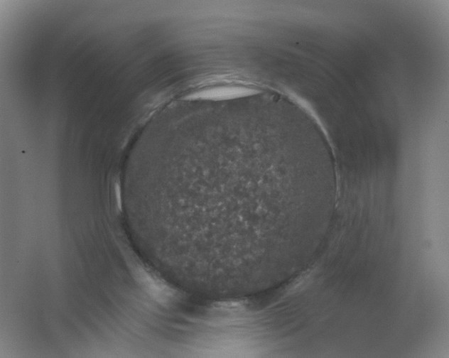 X0000062140061200512231516