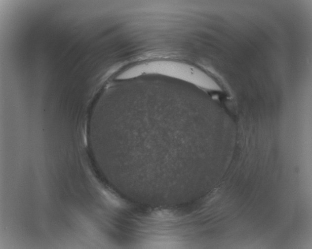 X0000062140062200512231516