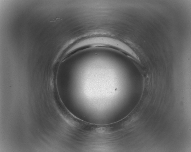 X0000062140064200512231516