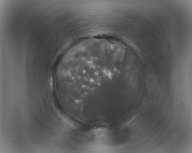 X0000062140067200512231516