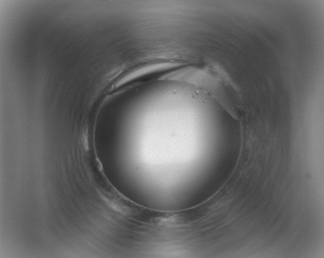 X0000062140068200512231516