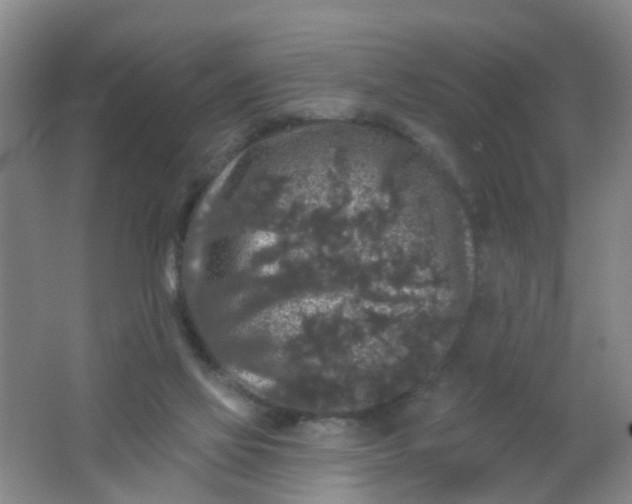 X0000062140069200512231516