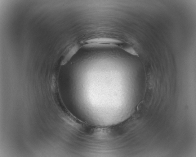 X0000062140077200512231516