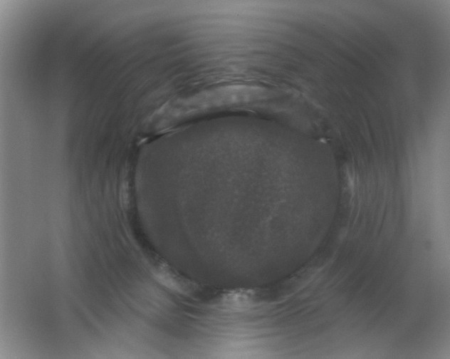 X0000062140080200512231516