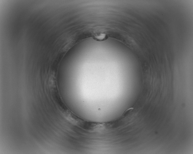 X0000062140083200512231516