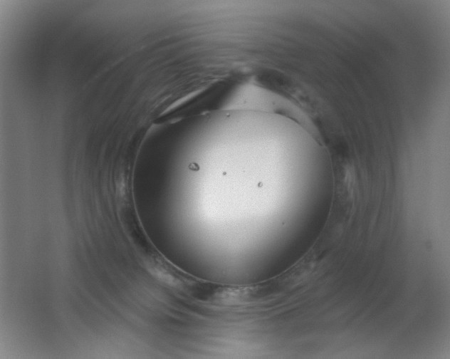 X0000062140084200512231516