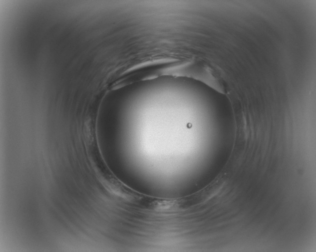 X0000062140088200512231517