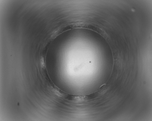 X0000062140089200512231517