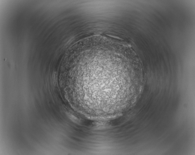 X0000062140093200512231517