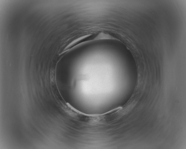 X0000062140096200512231517