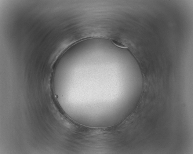 X0000062140098200512231516