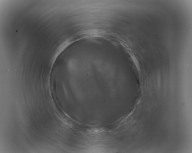 X0000062140099200512231516