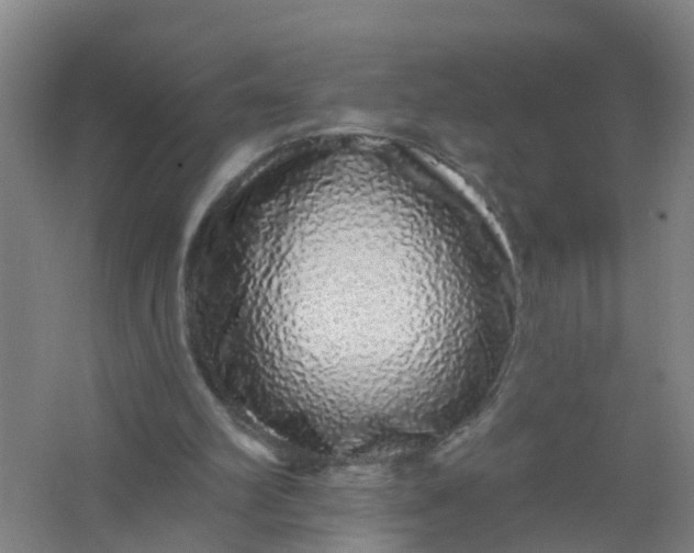 X0000062140102200512231516