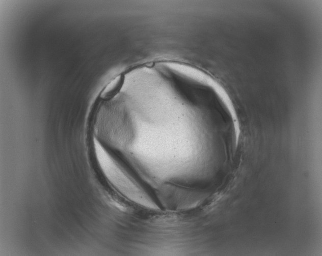 X0000062140104200512231516