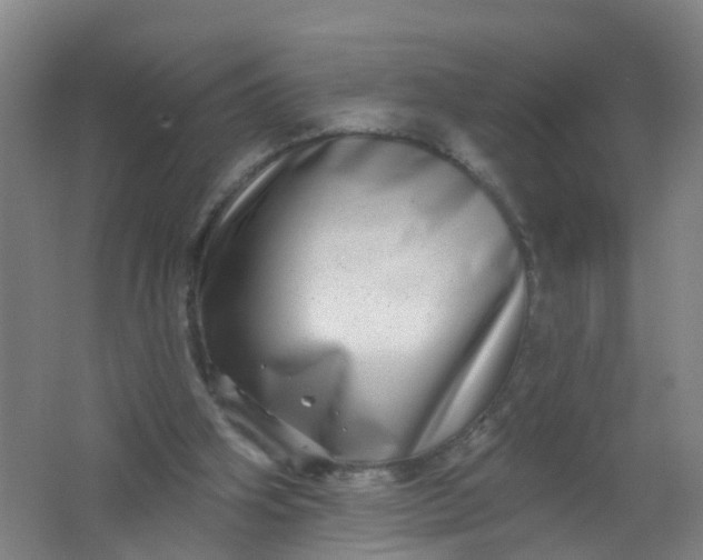 X0000062140106200512231516