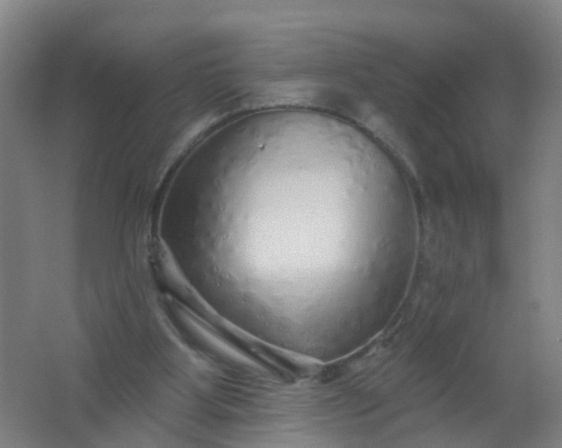 X0000062140107200512231516