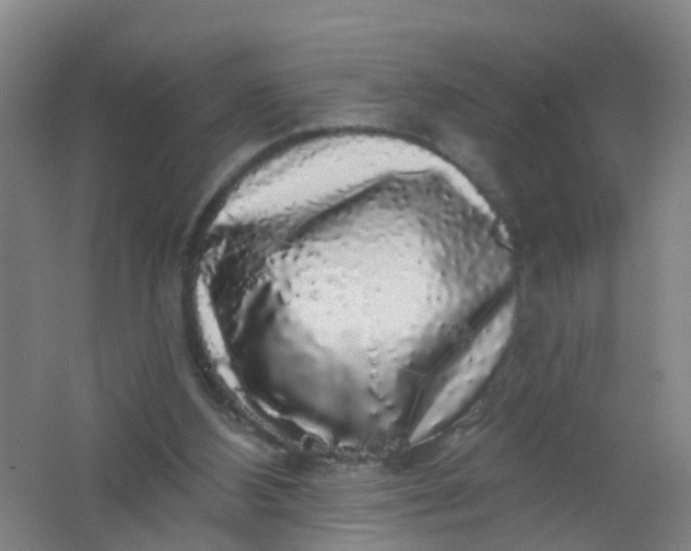 X0000062140108200512231516