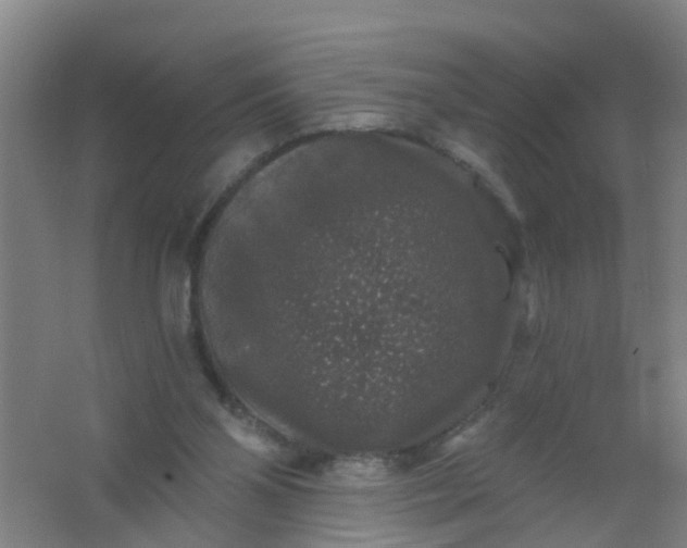 X0000062140110200512231516