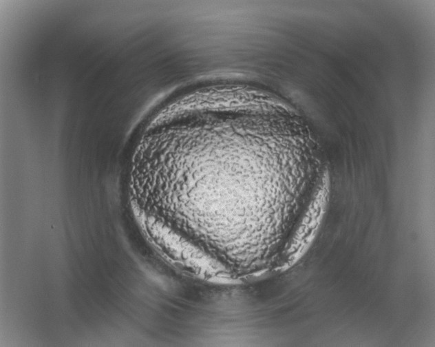 X0000062140112200512231516