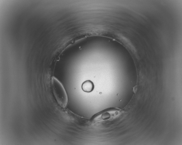 X0000062140113200512231516