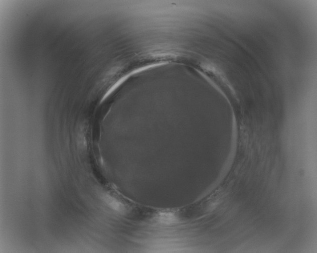 X0000062140114200512231516