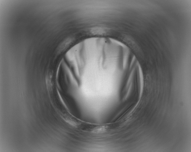 X0000062140116200512231515