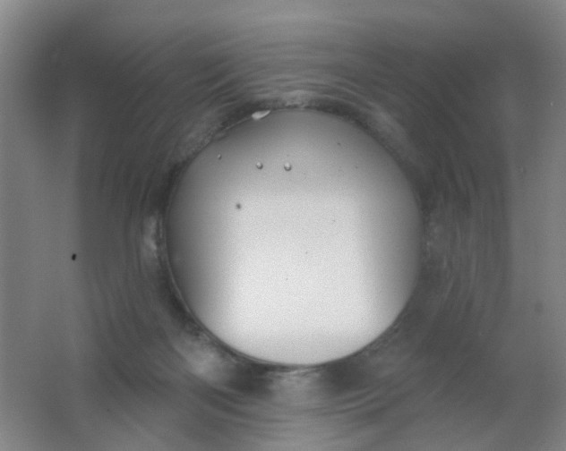 X0000062140122200512231515