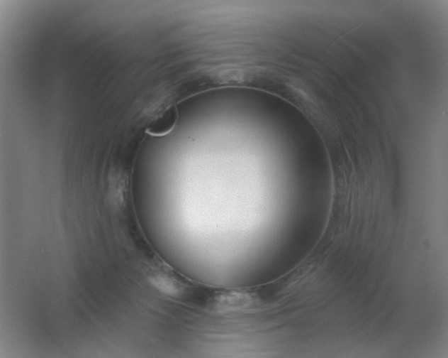 X0000062140125200512231515