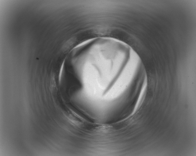 X0000062140128200512231515