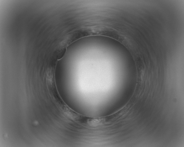 X0000062140129200512231515