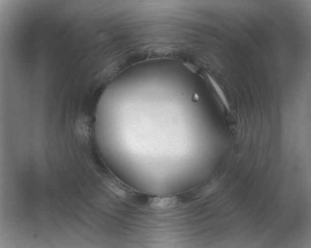 X0000062140135200512231515