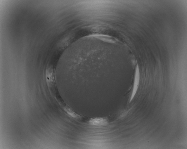 X0000062140137200512231515