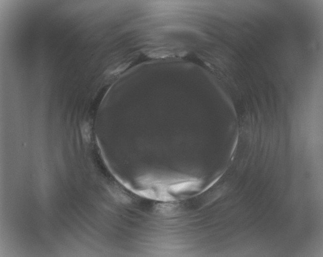 X0000062140139200512231515