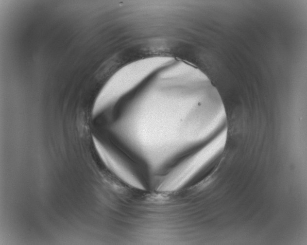 X0000062140140200512231515