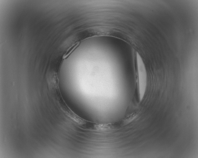 X0000062140141200512231515