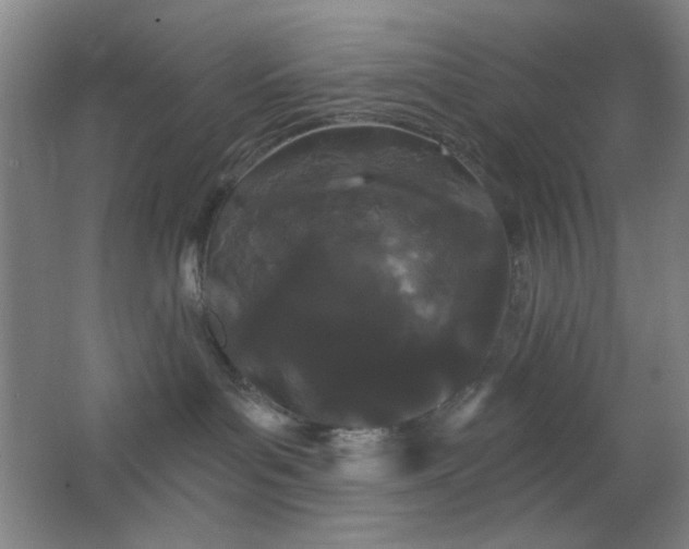 X0000062140143200512231515