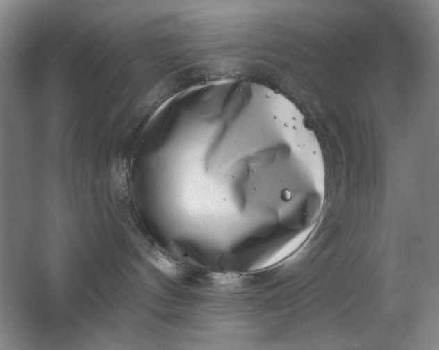 X0000062140144200512231515