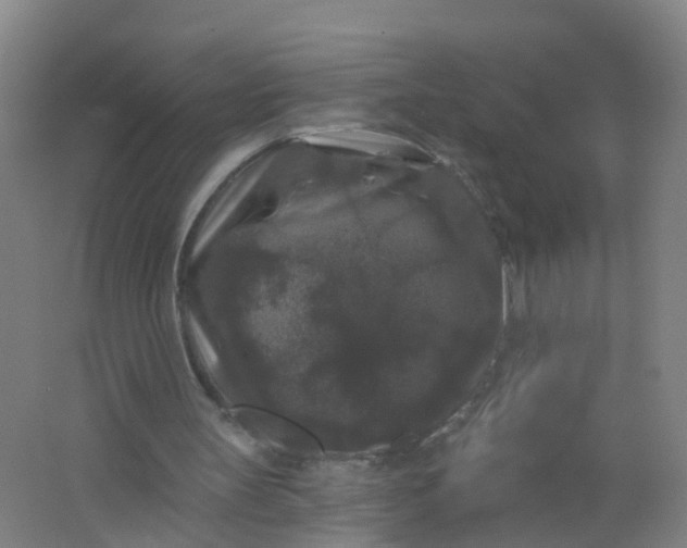 X0000062140147200512231514